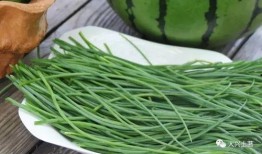 吃大瓜网红区,揭秘网红区“吃大瓜”背后的秘密与魅力