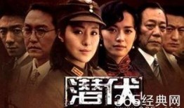 电视剧 潜伏 在线观看,谍影重重，智斗风云