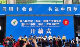 临沂一中爆料新闻事件视频